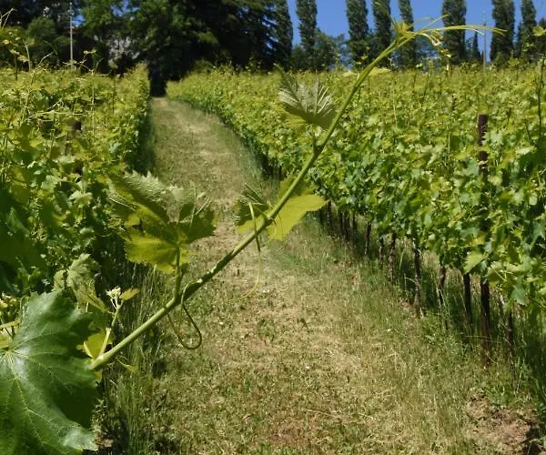 펜션 Castello Montesasso